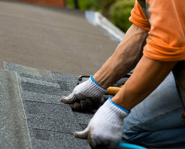 Best Emergency Roof Repair  in Chinook, MT
